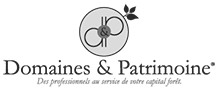 NT_patrimoine_et_finance_partenaires_domaines-et-patrimoine_logo.jpg