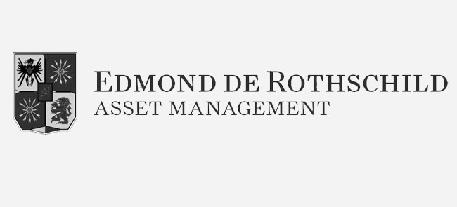 Edmond de rothschild gris