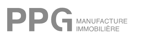 Pierre 1er gestion logo gris