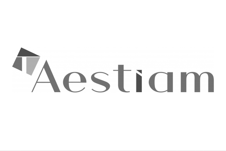 aestiam ex foncia pierre gestion gris