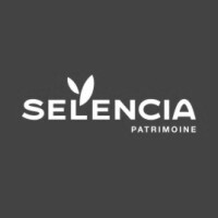 ageas patrimoine logo gris